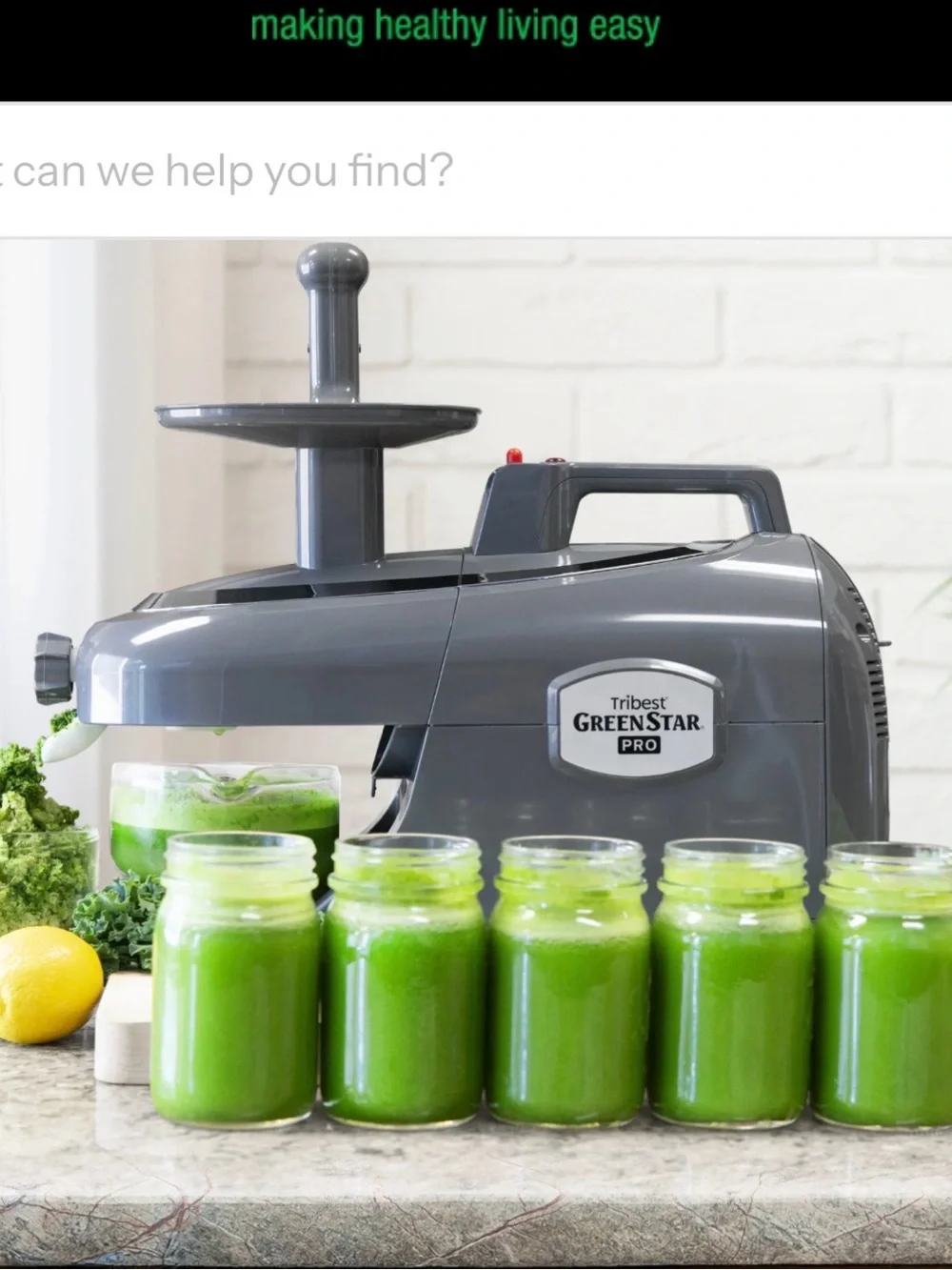 Greenstar Pro Cold Press Juicer - Gray